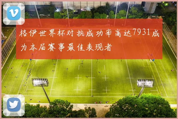 格伊世界杯对抗成功率高达7931成为本届赛事最佳表现者