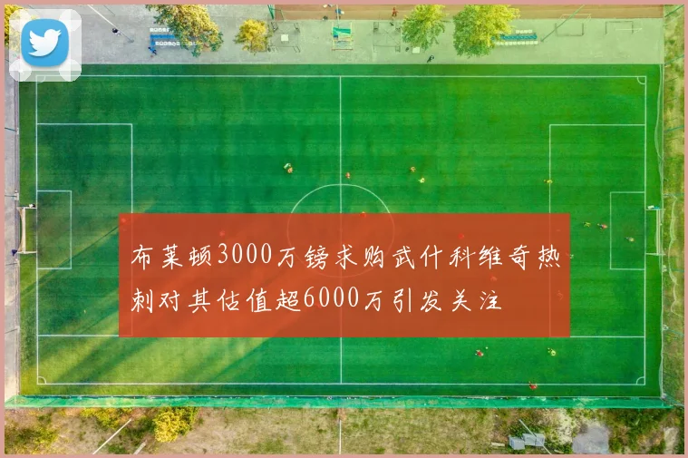 布莱顿3000万镑求购武什科维奇热刺对其估值超6000万引发关注